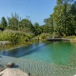 Biopiscinas: qué son, cómo funcionan y ventajas para tu jardín